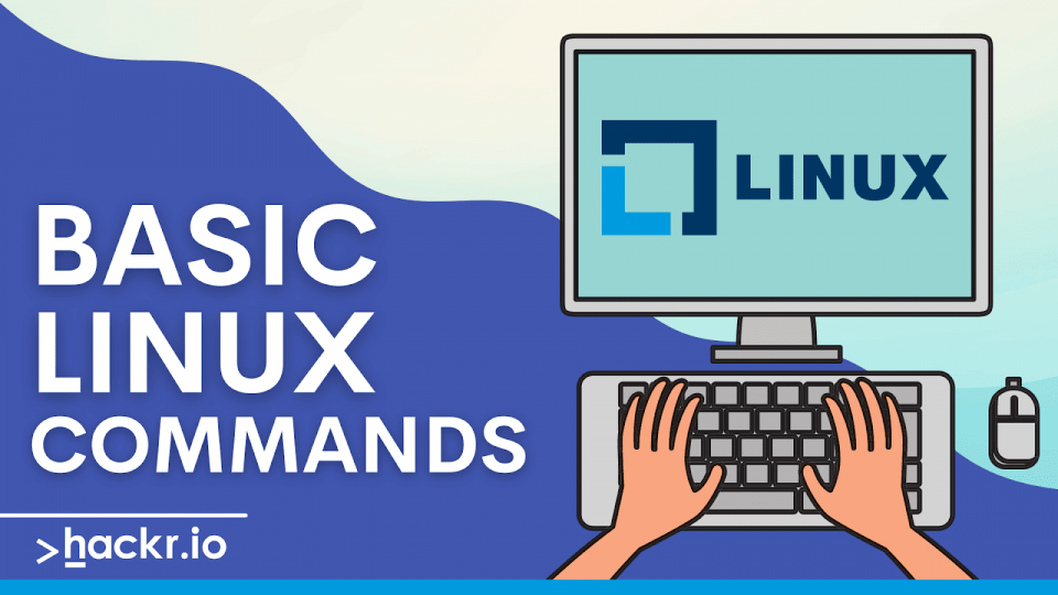 Basic Linux Commands for beginners [Updated]