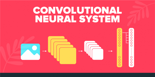 Convolutional Neural Network 