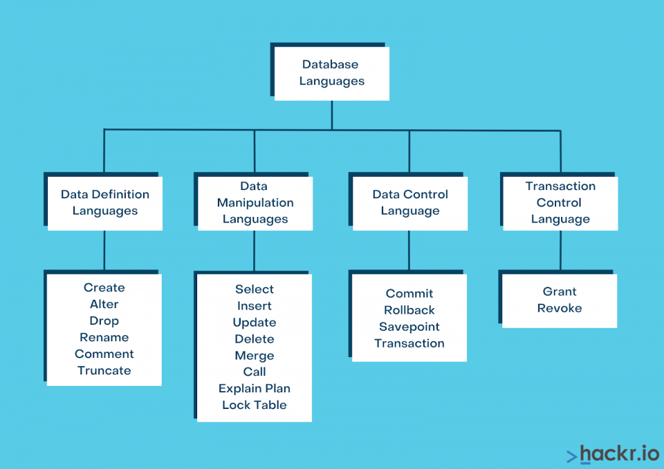 Flow Chart Describing Database Languages