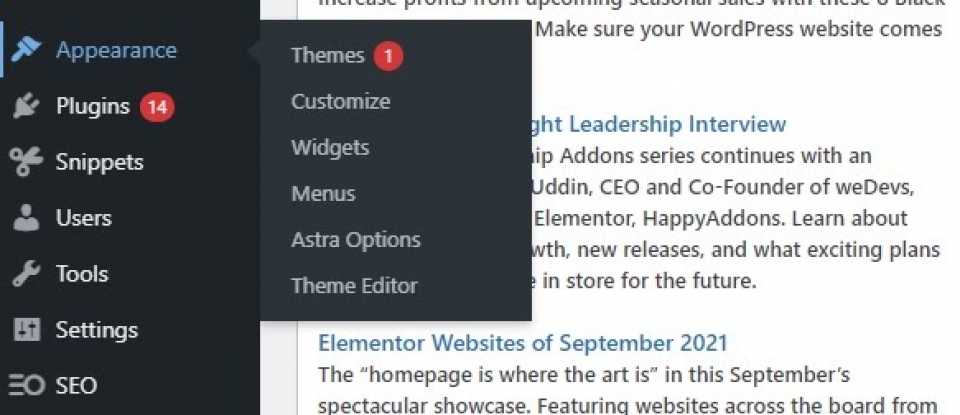 Image of WordPress Customization Page