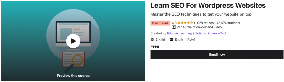Learn SEO For WordPress Websites