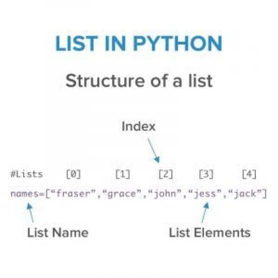 Python Programming Language: Step by Step Guide 2022