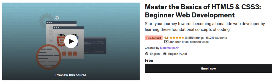 Master the Basics of HTML5 & CSS3