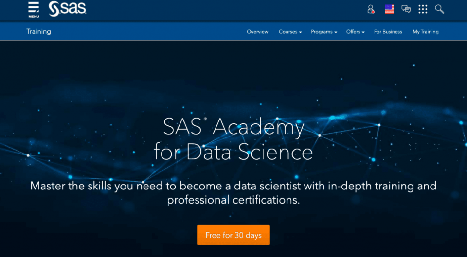 SAS Professional Certification