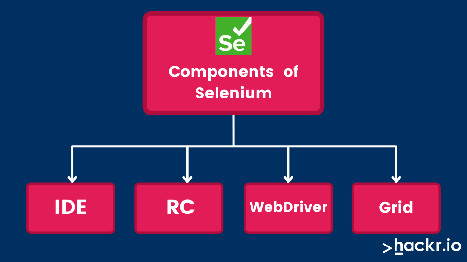 What is Selenium State its components.