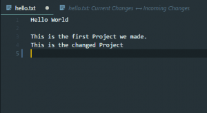 project file after accepting to keep both changes during a merge conflict