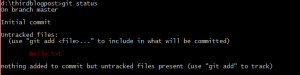 Git status with untracked file