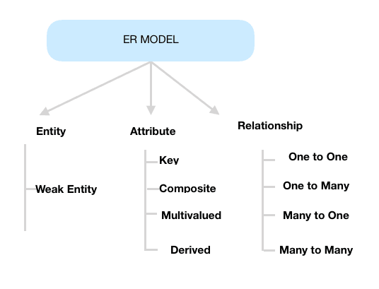 Components Of ER Diagram 